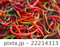 several red hot chili peppers, 22214313
