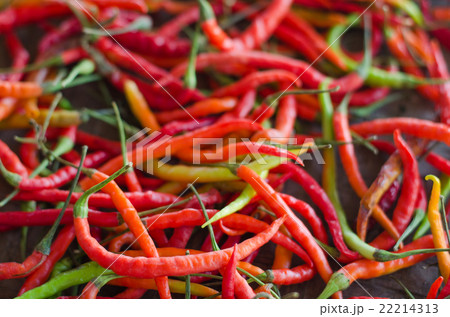 several red hot chili peppers, 22214313
