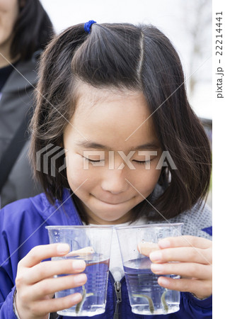 サケの放流体験 22214441