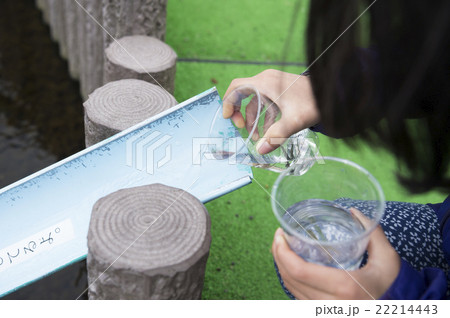 サケの放流体験 サケの放流体験 22214443