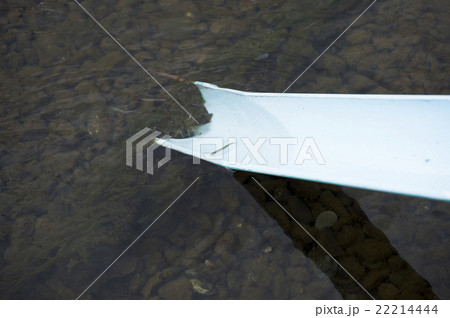 サケの放流体験 サケの放流体験 22214444