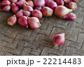 One shallot on blurred shallots background. 22214483