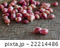 Two shallots on blurred shallots background. 22214486