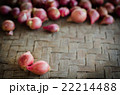 Two shallots on blurred shallots. 22214488
