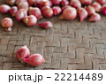 Two shallots on blurred shallots background, 22214489