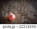 Shallots on mat with vignette background. 22214504