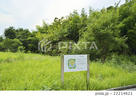 乙女山古墳　馬見古墳群　馬見丘陵公園 22214621