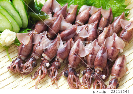 ホタルイカ10 22215542