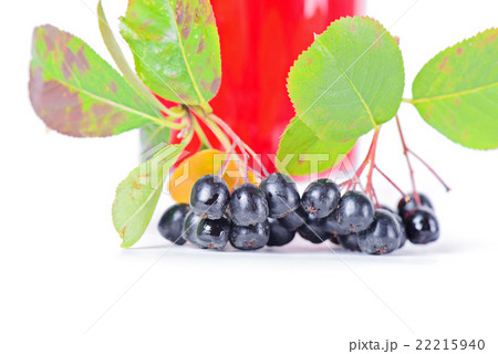 Macro shot of aronia 22215940