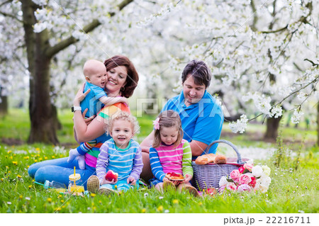 Family with children having picnic in spring park 22216711