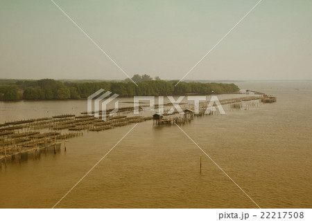 Thailand at a Oyster Farm Thailand at a Oyster Farm 22217508