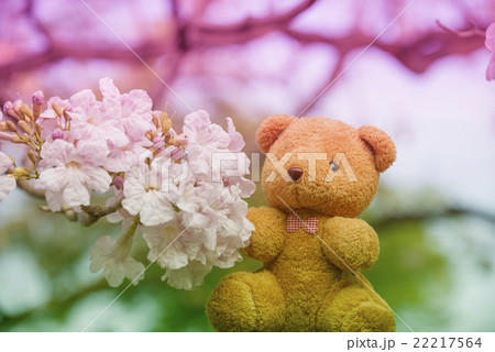 Brown Bear Texture background. 22217564