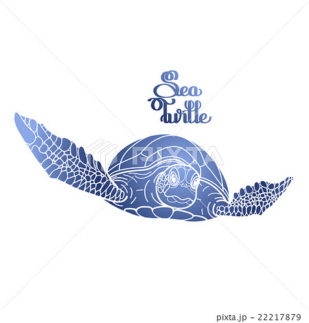 Hawksbill sea turtle 22217879