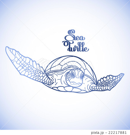 Hawksbill sea turtle Hawksbill sea turtle 22217881