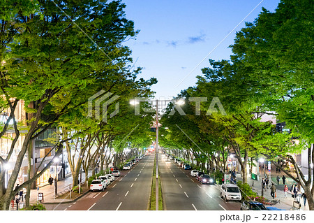並木道・表参道・原宿・大通り（夜景） 22218486