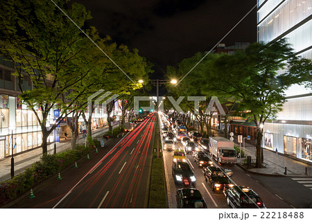 並木道・表参道・原宿・大通り(夜景・長時間露光) 並木道・表参道・原宿・大通り(夜景・長時間露光) 22218488