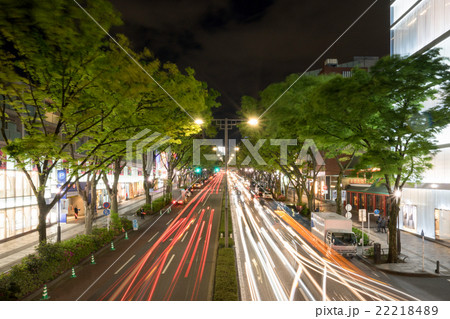 並木道 表参道 原宿 大通り 夜景 長時間露光 の写真素材