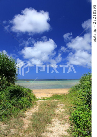 沖縄の風景 22218598