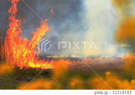 野焼 野焼 22219193