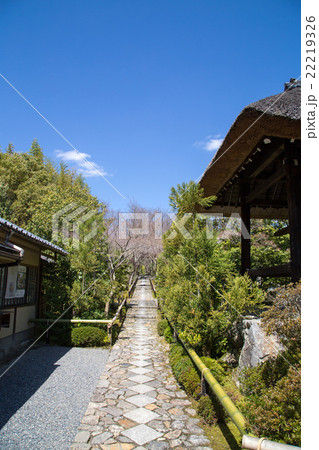 光悦寺、庭へと続く参道 光悦寺、庭へと続く参道 22219326