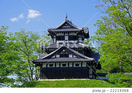 高田城 22219368