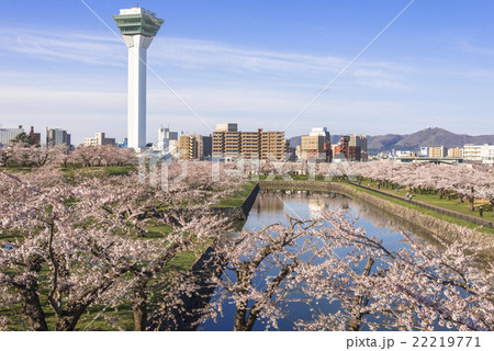 五稜郭タワーと満開の桜の花 22219771