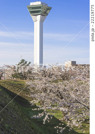 五稜郭タワーと満開の桜の花 22219775