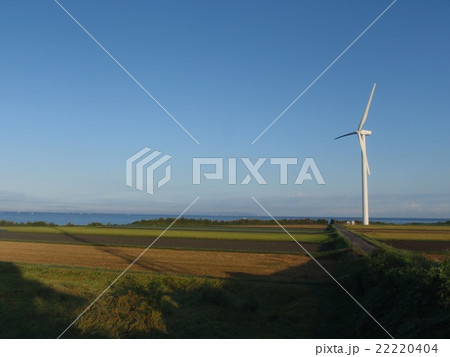 風車 風車 22220404