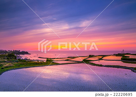 棚田の夕景 22220695