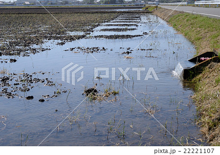 バルブが開かれ水が引かれて田植えの準備が進む田 22221107
