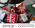 クリスマス飾 クリスマス飾 22221556