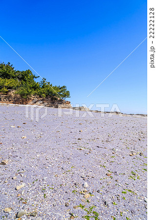 佐久島 紫の砂浜 佐久島 紫の砂浜 22222128