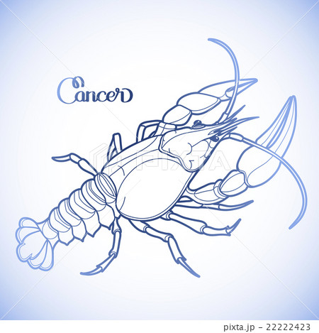 Graphic vector cancer 22222423