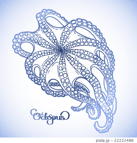 Graphic octopus in bottom view 22222486