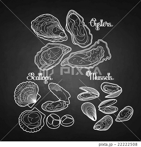 Graphic vector mussels, oysters and scallops Graphic vector mussels, oysters and scallops 22222508