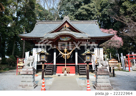 下野市　薬師寺八幡宮 22222964
