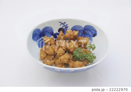 軟骨唐揚げ 22222970