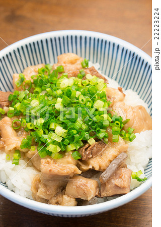 ぼっかけ丼 22223224