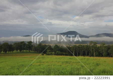 Fog belt in rural New South Wales Fog belt in rural New South Wales 22223991