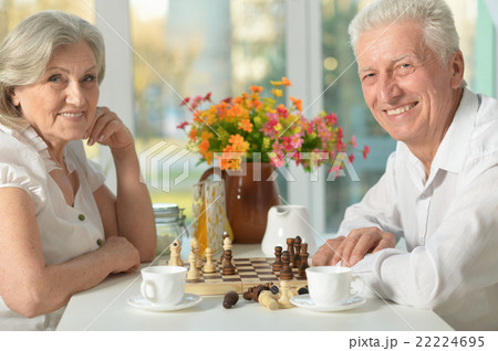 happy Senior couple playing chess 22224695
