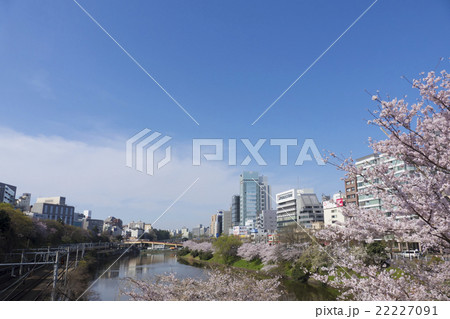 東京の桜名所 外濠公園 新見附橋から望む東京都心の町並み 市ヶ谷方面の写真素材