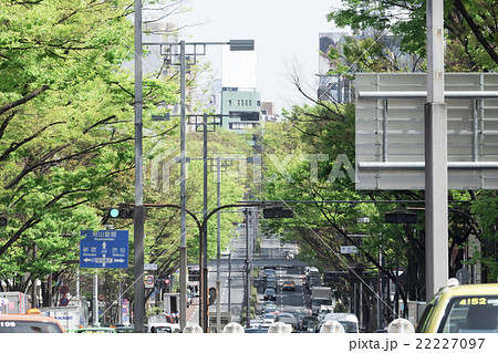 東京都市風景　原宿　表参道　春　新緑　メインストリート 22227097