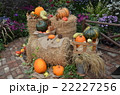 ハロウィン飾り 22227256