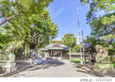 夏の鶴谷八幡宮の風景 夏の鶴谷八幡宮の風景 22227325