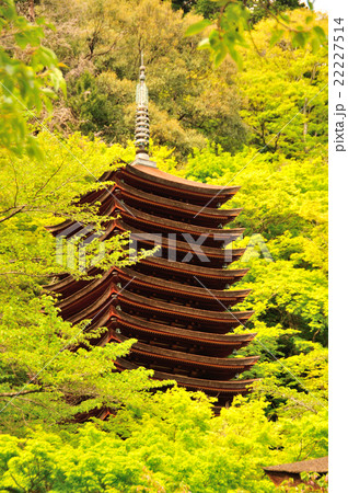 談山神社　十三重塔 22227514