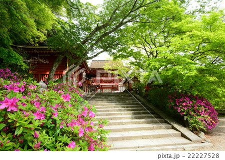 談山神社　本殿入口 22227528