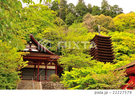 談山神社 権殿と十三重塔 談山神社 権殿と十三重塔 22227579