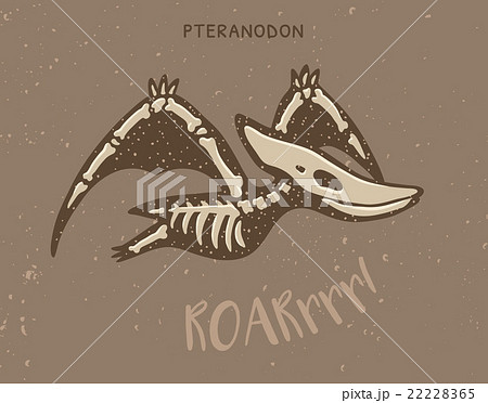 Cartoon pteranodon dinosaur fossil. Vector 22228365