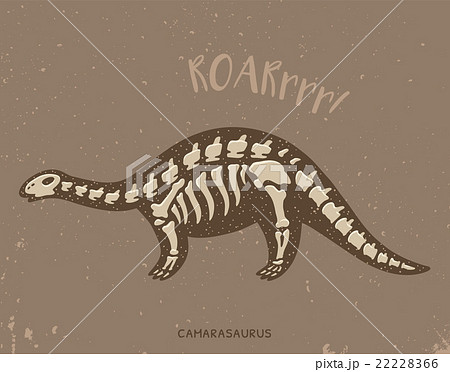 Cartoon camarasaurus dinosaur fossil. Vector 22228366