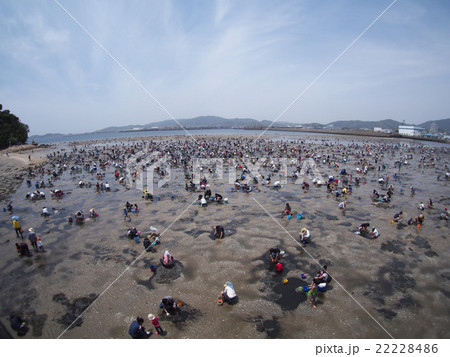 愛知県 竹島の潮干狩りの写真素材